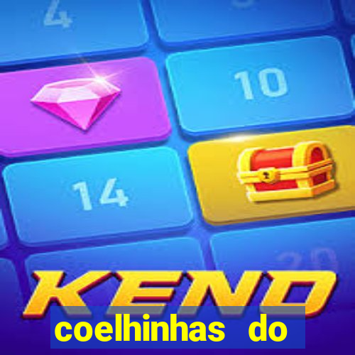 coelhinhas do brasil site